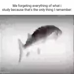 Fish... | Me forgeting everything of what i study because that's the only thing I remember: | image tagged in gifs,fish,funny | made w/ Imgflip video-to-gif maker