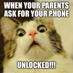 Uh oh | WHEN YOUR PARENTS ASK FOR YOUR PHONE; UNLOCKED!!! | image tagged in memes,scared cat | made w/ Imgflip meme maker