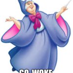 Disney's Warning From The Fairy God Mother | P O O F; GO  WOKE 
   GO    BROKE | image tagged in fairy god mother | made w/ Imgflip meme maker