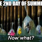 What should I do guys? | ME ON THE 2ND DAY OF SUMMER BREAK: | image tagged in now what,summer time,summer vacation,school sucks | made w/ Imgflip meme maker