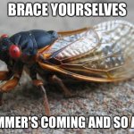 Cicada | BRACE YOURSELVES; SUMMER'S COMING AND SO AM I | image tagged in cicada | made w/ Imgflip meme maker