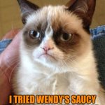 Grumpy Cat | I TRIED WENDY'S SAUCY NUGGETS.  NOT IMPRESSED. | image tagged in memes,grumpy cat | made w/ Imgflip meme maker