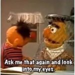 Bert ask me that again and look into my eyes