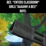 That Bee choose death. | Bee: *Enters Classroom*
Girls:"Aaaahh! A bee!"
Boys: | image tagged in gifs,funny,bee,boys | made w/ Imgflip video-to-gif maker