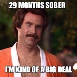 Im kind of a big deal | 29 MONTHS SOBER; I'M KIND OF A BIG DEAL | image tagged in im kind of a big deal | made w/ Imgflip meme maker