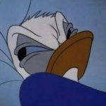 Donald me despiertan