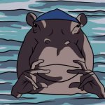 Hippo crip
