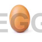 How many upvotes can an egg get? | EGG | image tagged in eggbert,memes,silly,upvote,funny,dumb meme | made w/ Imgflip meme maker
