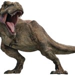 Rexy 22