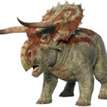 Female Nasutoceratops 3