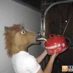 Horse guy drinks gas