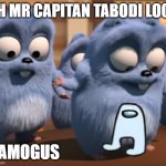 a sussy guy | OH MR CAPITAN TABODI LOOK; AMOGUS | image tagged in oh mr capitan tabodi look | made w/ Imgflip meme maker