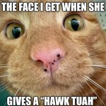 Dex-cat | THE FACE I GET WHEN SHE; GIVES A “HAWK TUAH” | image tagged in dex-cat | made w/ Imgflip meme maker