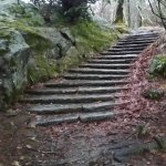 Stone steps nature path