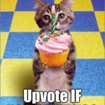 ? | Todays my birthday; Upvote IF YOU WANT TOO | image tagged in happy birthday cat | made w/ Imgflip meme maker