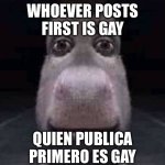 Whoever posts first is gay meme