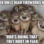 Owls Against Fireworks, 2nd Version | WHEN OWLS HEAR FIREWORKS NEAR; "HOO'S DOING THAT"
THEY HOOT IN FEAR | image tagged in excited owls | made w/ Imgflip meme maker