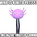 Blank White Template | WHO IS KINITO PET??? TELL ME IN THE IMGFLIP COMMENT. | image tagged in blank white template | made w/ Imgflip meme maker
