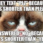 I answered no | THEY TEXT "PLZ" BECAUSE IT'S SHORTER THAN PLEASE I ANSWERED "NO" BECAUSE IT'S SHORTER THAN "YES" | image tagged in grumpy cat,memes,cats | made w/ Imgflip meme maker