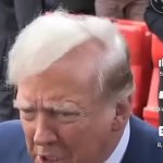 Bald Trump
