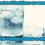 Florida Panthers Need Ice | Today, a lot of Floridians are wondering; Where the Panthers found so much ice! | image tagged in drink,ice drink | made w/ Imgflip meme maker