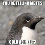 accidental boomer meme but we’re still alive | YOU’RE TELLING ME IT’S; “COLD AS HELL”? | image tagged in cold,as,hell,likethatpenguin | made w/ Imgflip meme maker