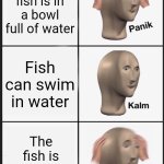 Panik Kalm Panik | The fish is in a bowl full of water; Fish can swim in water; The fish is underwater | image tagged in memes,panik kalm panik | made w/ Imgflip meme maker