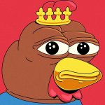 COQINU pepe