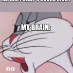 Stupid brain | ME: CAN I SLEEP 6 HOURS NIGHT; MY BRAIN: | image tagged in no bugs bunny,insomnia,no sleep,night | made w/ Imgflip meme maker