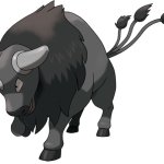 Paldean Tauros (Combat Breed)