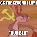Bugs bunny communist | MY DOGS THE SECOND I LAY DOWN:; “OUR BED” | image tagged in bugs bunny communist | made w/ Imgflip meme maker
