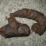 Dog shit