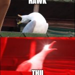 screaming duck | HAWK; THU | image tagged in screaming duck | made w/ Imgflip meme maker