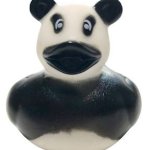 Panda duck