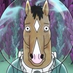 bojack horseman