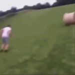 Haystack Hopping | image tagged in gifs,haystack hopping | made w/ Imgflip video-to-gif maker