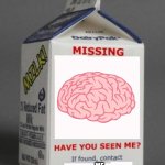 Have you seen it? | ME | image tagged in milk carton,memes | made w/ Imgflip meme maker
