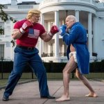 Trump vs Biden Diaper