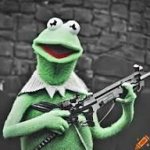 Kermit Gun