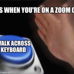 Blank Nut Button | CATS WHEN YOU'RE ON A ZOOM CALL; WALK ACROSS KEYBOARD | image tagged in memes,blank nut button | made w/ Imgflip meme maker