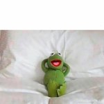 Kermit laying in bed