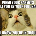 Scared Cat | WHEN YOUR PARENTS CALL YOU BY YOUR FULL NAME; YOU KNOW YOU'RE IN TROUBLE | image tagged in memes,scared cat | made w/ Imgflip meme maker