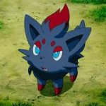 Zorua