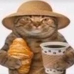 cat-coffee-croissant-hat-vacation