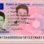 Fake licence