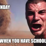 Run | MONDAY; WHEN YOU HAVE SCHOOL | image tagged in here it comes | made w/ Imgflip meme maker