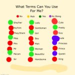 Meow | image tagged in pronouns sheet | made w/ Imgflip meme maker