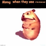 Msmg is gonna ratio me even tho that doesn't matter | Msmg; A fun stream user | image tagged in x when they see x | made w/ Imgflip meme maker
