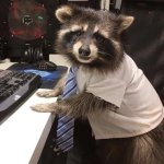 Working Raccoon