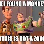Racist monkey??? | LOOK I FOUND A MONKEY🐒; (THIS IS NOT A ZOO) | image tagged in funny | made w/ Imgflip meme maker